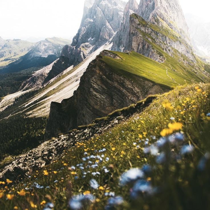 Nature travel hero image